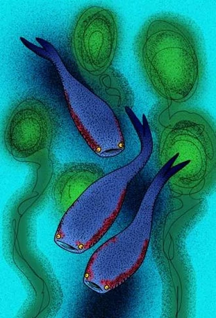 CategoryThelodonti Zoo evolution in Anthöny Pain video Wiki Fandom