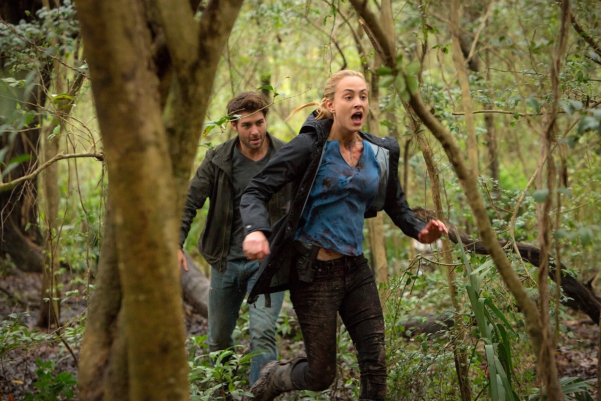 Pack Mentality Zoo (TV Series) Wikia Fandom