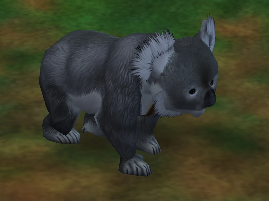 Koala Zoo Tycoon 2 Wikia Fandom