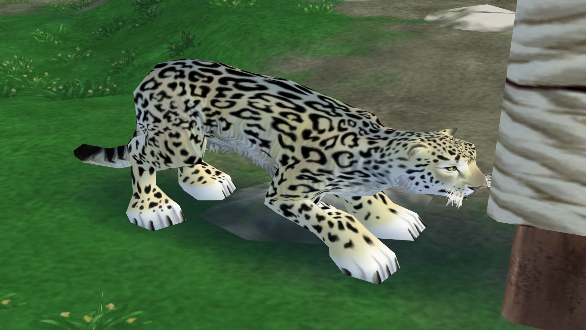 Snow Leopard | Zoo Tycoon 2 Wikia | Fandom