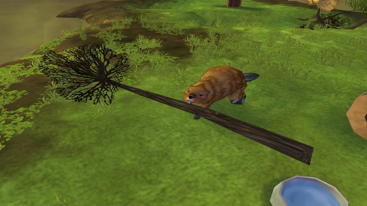 American Beaver Zoo Tycoon 2 Wikia Fandom
