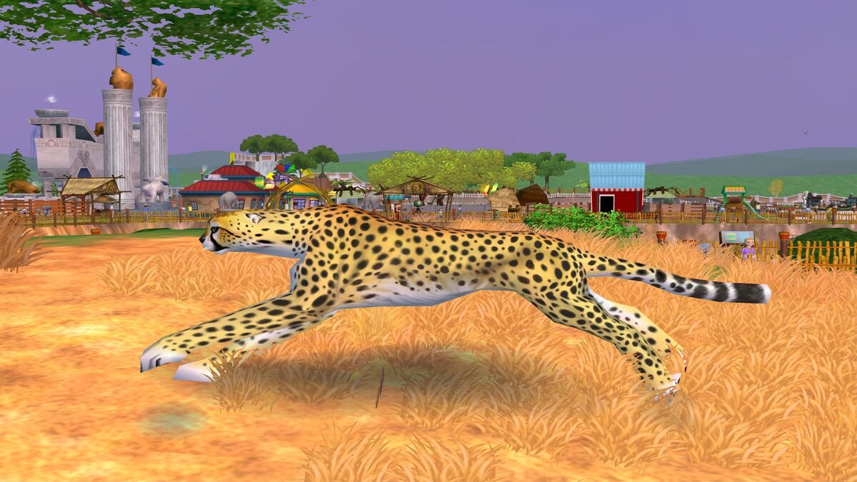 zoo tycoon 2 - ZooChat