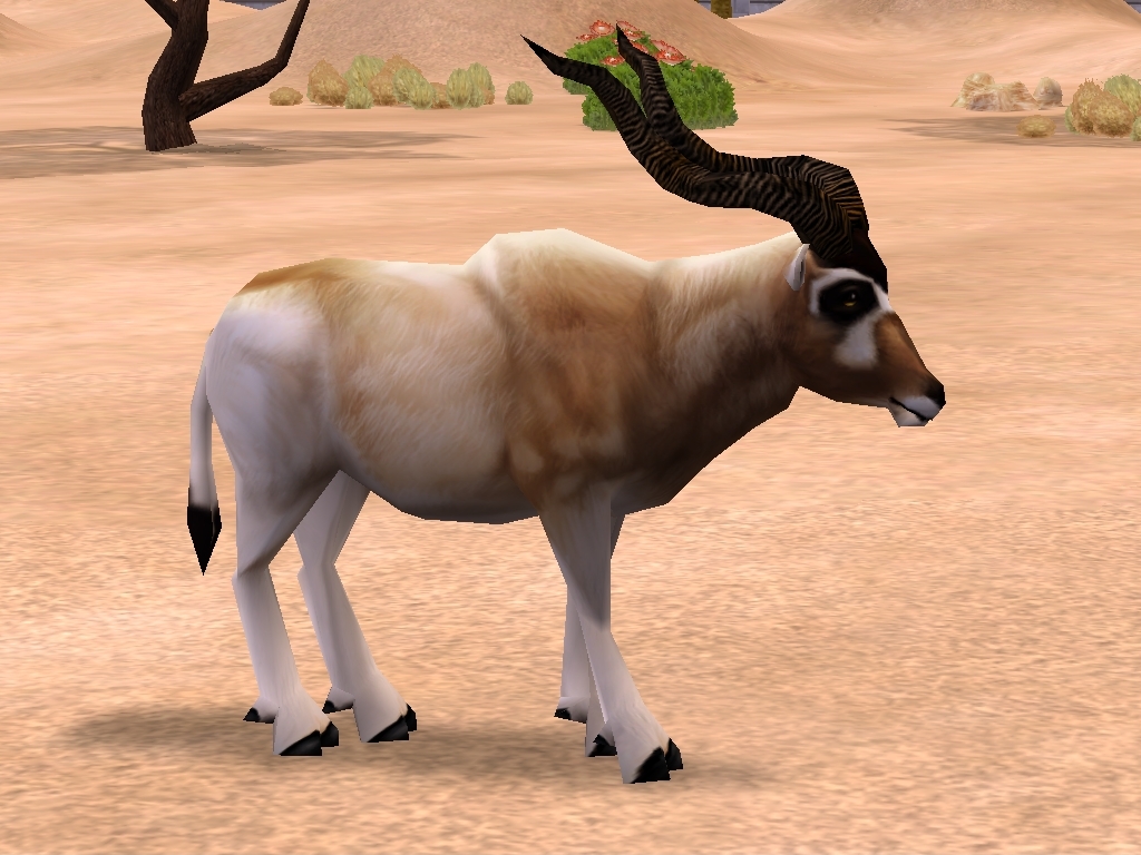 Arabian Oryx (Bonus Download) at Zoo Tycoon 2 Nexus - Mods and community