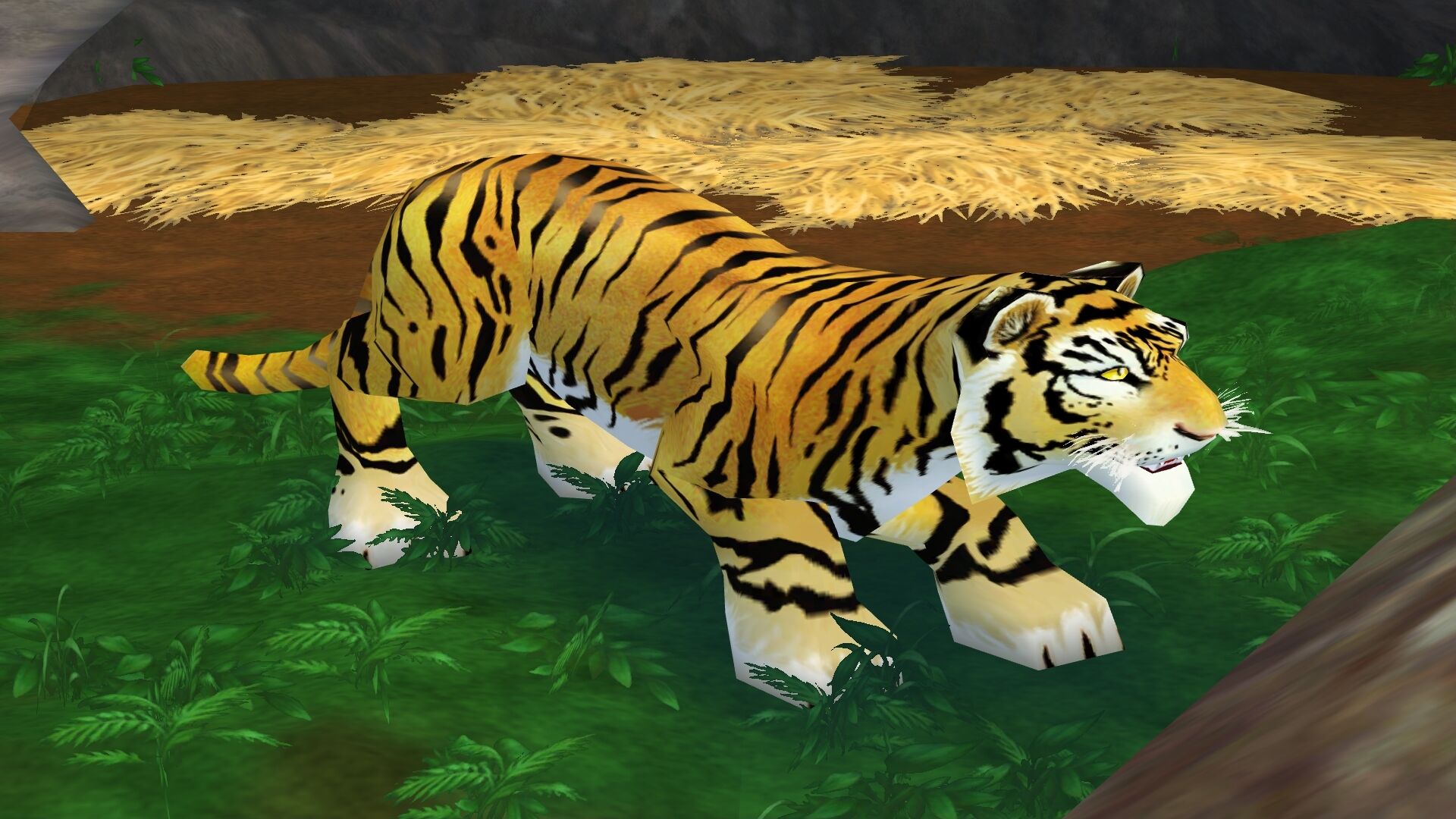 Bengal Tiger, Zoo tycoon movie Wikia