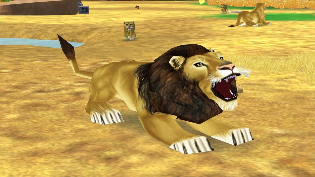 Lion Zoo Tycoon 2 Wikia Fandom