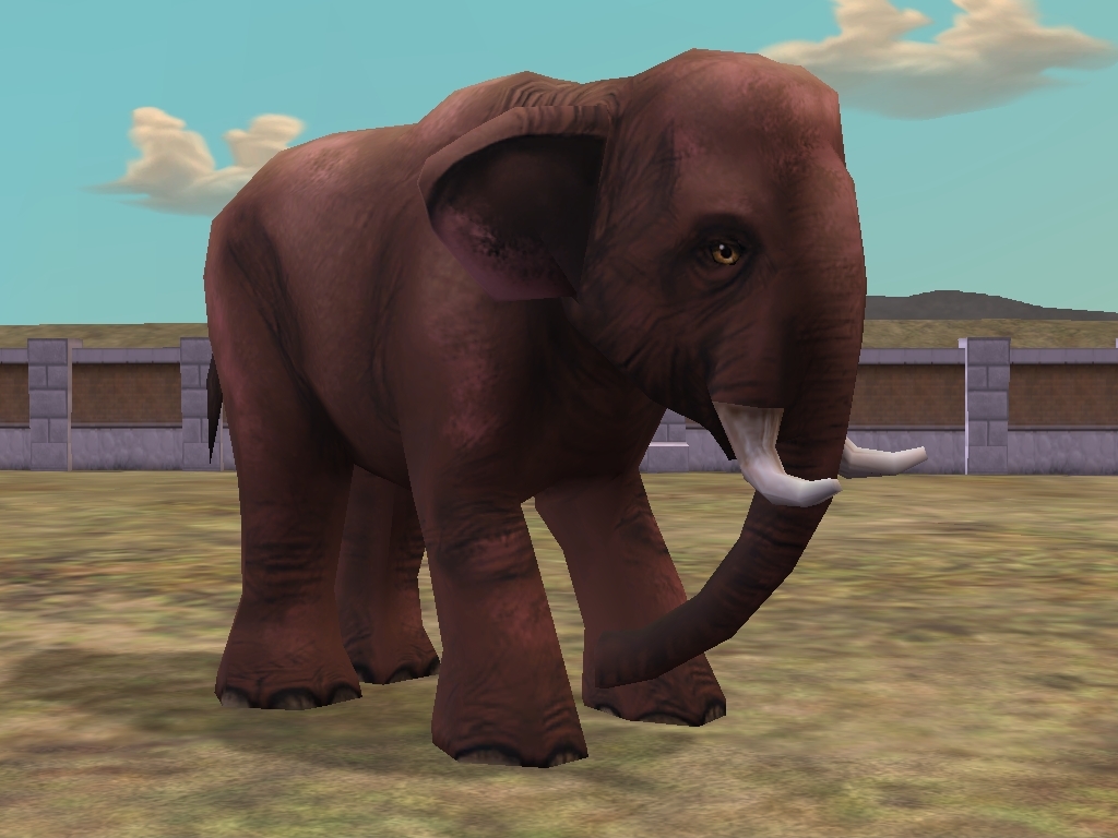 Asian Elephant | Zoo Tycoon 2 Wikia | Fandom