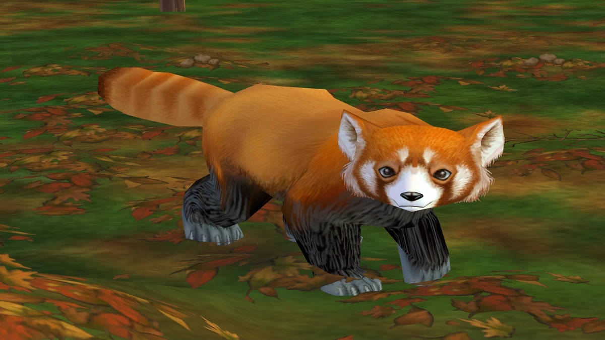 Red Panda Zoo Tycoon 2 Wikia Fandom