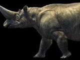 Arsinoitherium