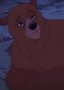 Nita bear.jpg (127 KB) Nita (Mandy Moore)