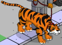 Bengal Tiger, Zoo tycoon movie Wikia