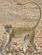 Green Monkey