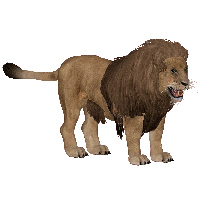 Barbary Lion Zoo tycoon movie Wikia Fandom