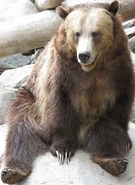 Boris the Grizzly Bear (Billy West)