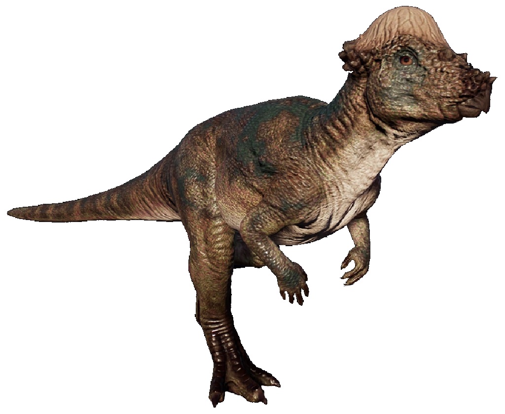 Pachycephalosaurus | Zoo tycoon movie Wikia | Fandom