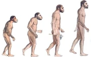 Homo Sapiens