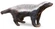 Honey Badger/Ratel