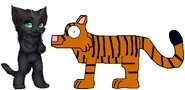 Katona meets Siberian Tiger.png (125 KB) Siberian Tiger in San Francisco Zoo