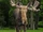 Moose