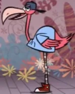 Filbert Flamingo
