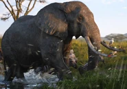 Lion King 2019 Elephant.jpg (335 KB) The Lion King (2019)
