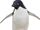 Adelie Penguin