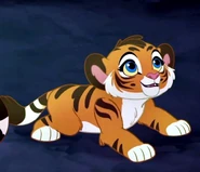 Pasha tiger.jpg (207 KB) Pasha