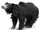 Sloth Bear