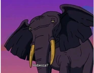 Rebecca