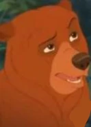 Kenai bear.jpg (150 KB) Kenai (Joaquin Phoenix/Jason Marsden)