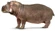 Common Hippopotamus