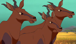 Topi Zoo Tycoon Movie Wikia Fandom Topi Zoo Tycoon Movie Wikia Fandom