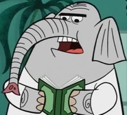 Endugu Elephant