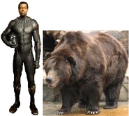 Black Panther meets Grizzly Bear.png (367 KB) Grizzly Bear in Wyoming