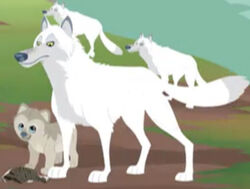 Zoo Tycoon 1: Angry Arctic Wolves
