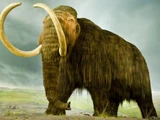 Woolly Mammoth