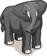 Tiny Zoo African Elephant.jpg (24 KB)