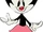 Dot Warner