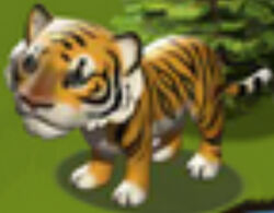 Bengal Tiger, Zoo tycoon movie Wikia