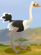 Mbuni (Grey Griffin)