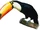 Toco Toucan