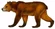 Atlas Bear