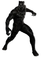 Black Panther (Chadwick Boseman)