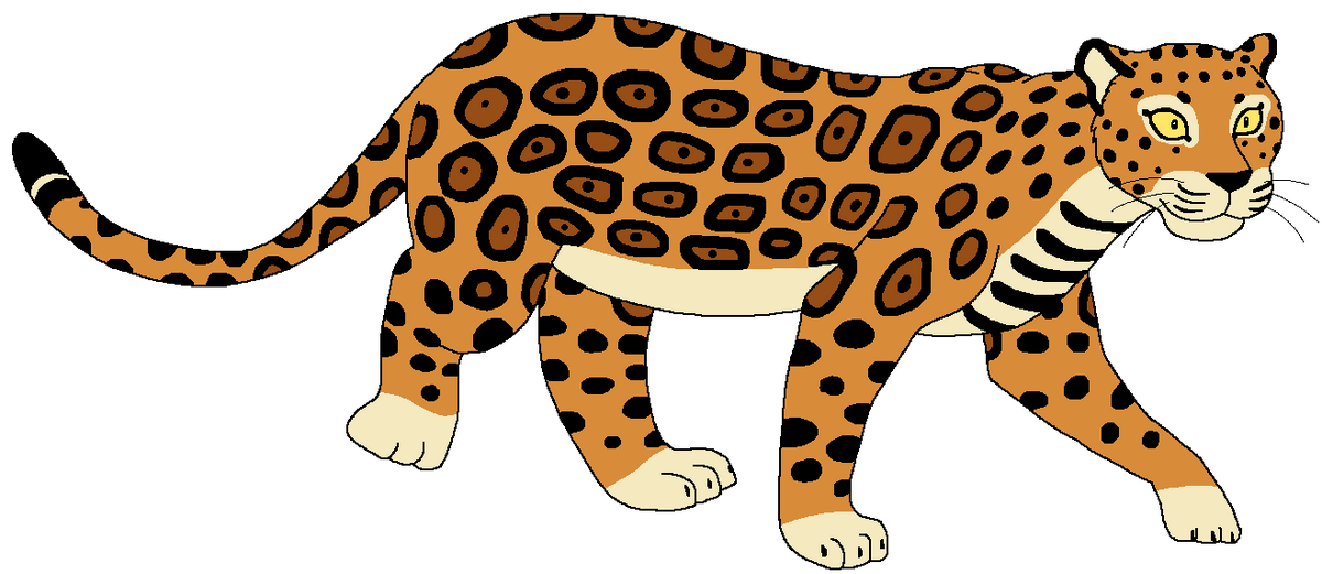 Central American Jaguar | Zoo Venture Wiki | Fandom