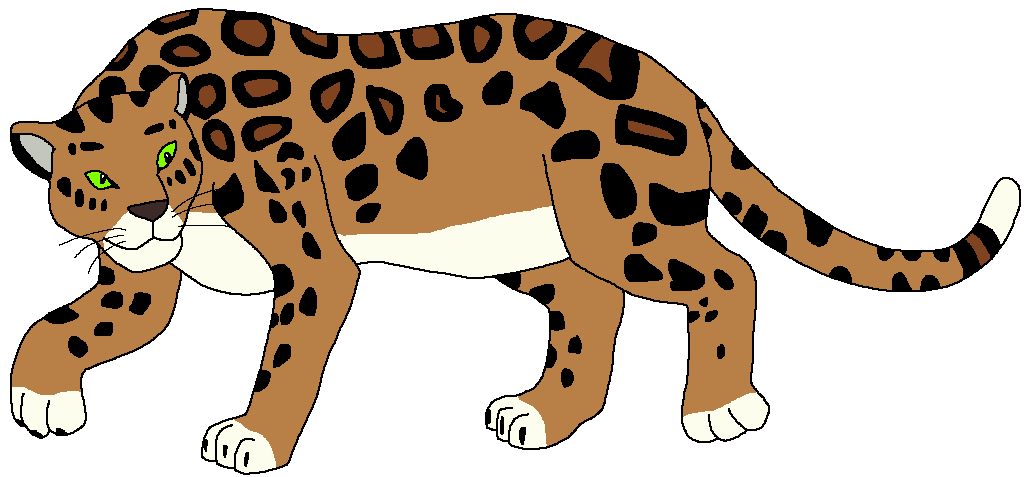 Amur Leopard | Zoo Venture Wiki | Fandom