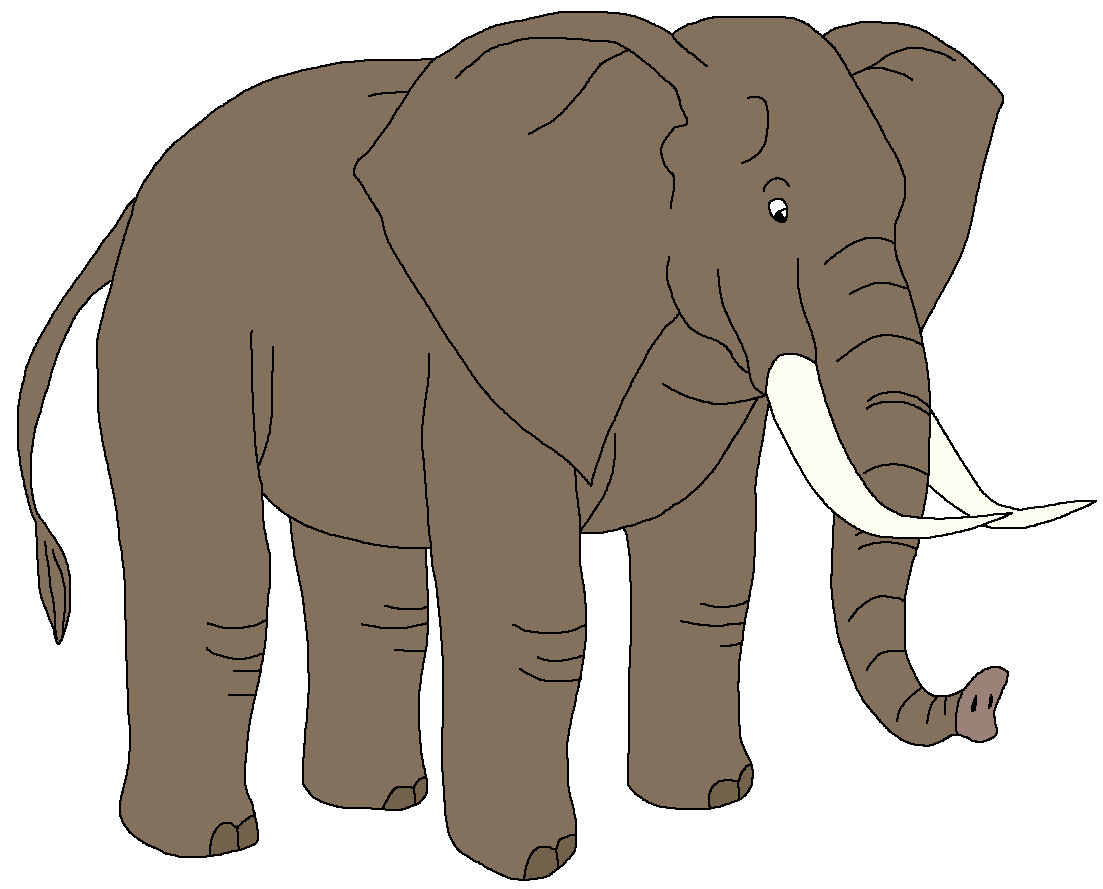 African Bush Elephant | Zoo Venture Wiki | Fandom