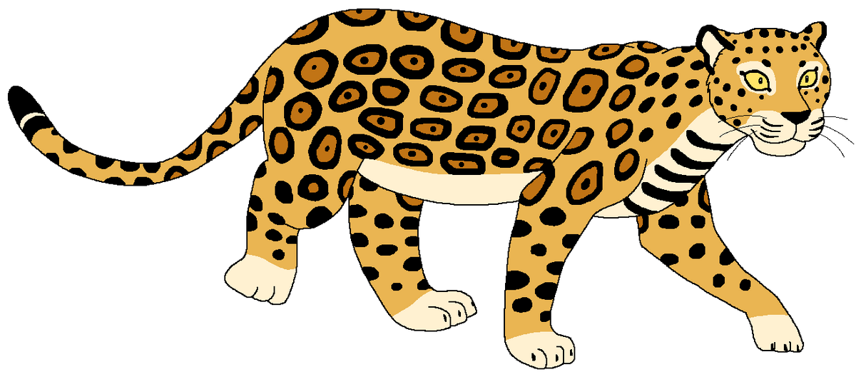 Brazilian Jaguar | Zoo Venture Wiki | Fandom