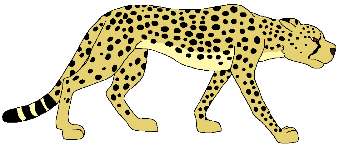 Asiatic Cheetah | Zoo Venture Wiki | Fandom