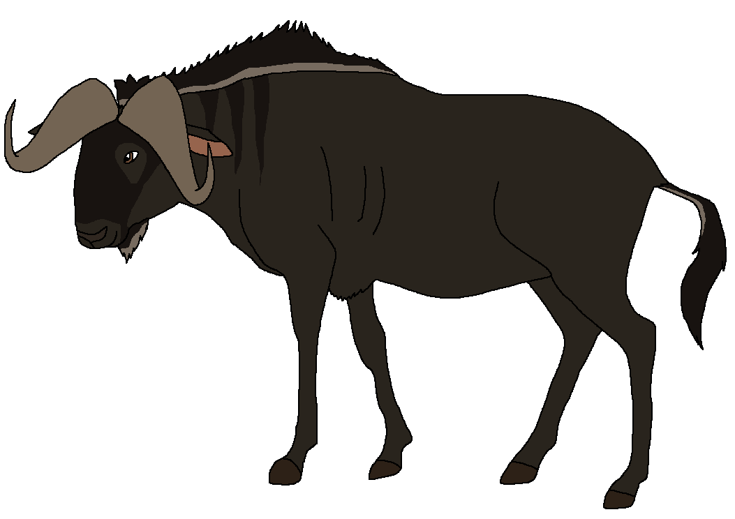 Black Wildebeest Zoo Venture Wiki Fandom