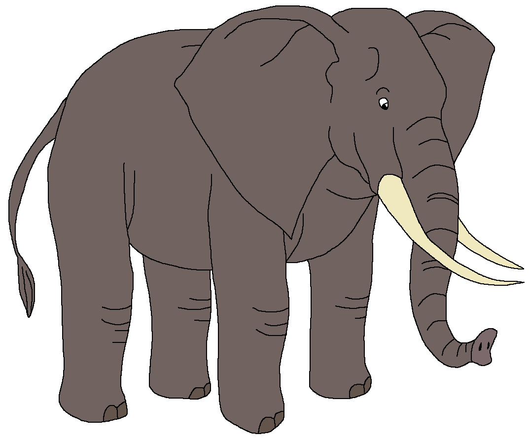 African Forest Elephant | Zoo Venture Wiki | Fandom