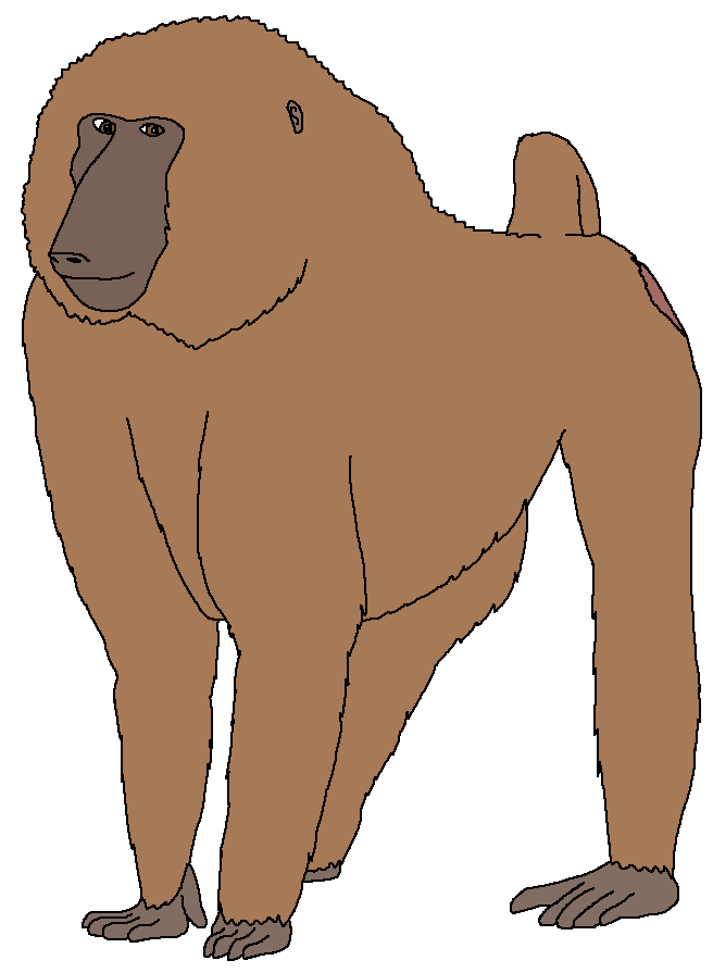 Olive Baboon Zoo Venture Wiki Fandom